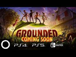 Grounded (PS4/5, Switch)